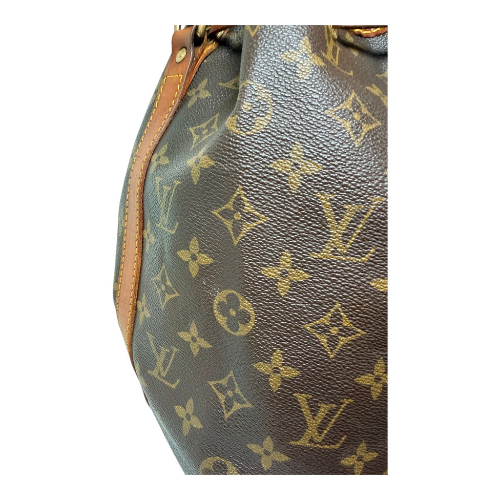 Louis Vuitton Monogram Petit Noé Bucket Bag