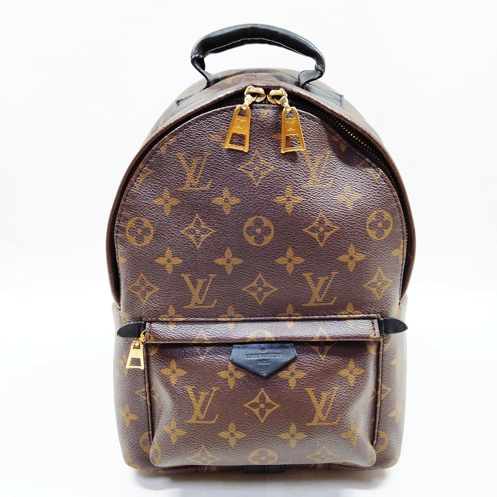 Louis Vuitton Palm Springs PM Back Pack