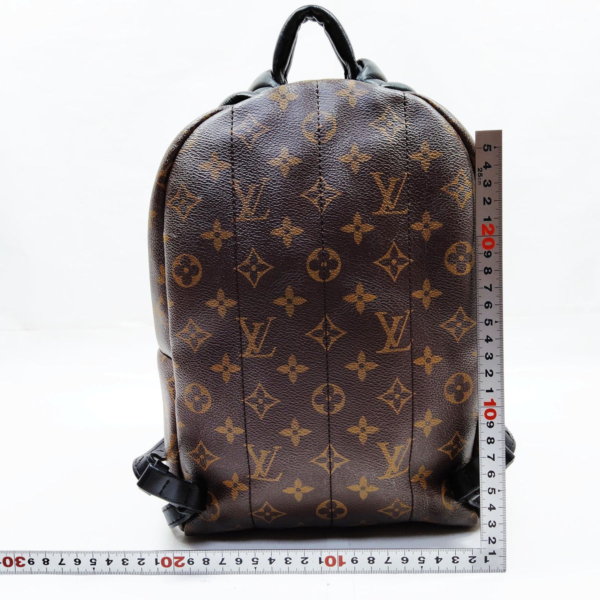 Louis Vuitton Palm Springs PM Back Pack