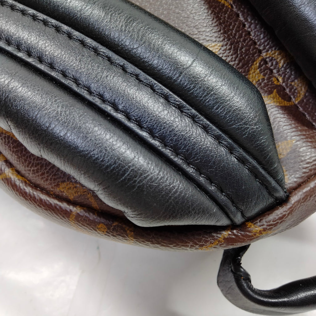 Louis Vuitton Palm Springs PM Back Pack