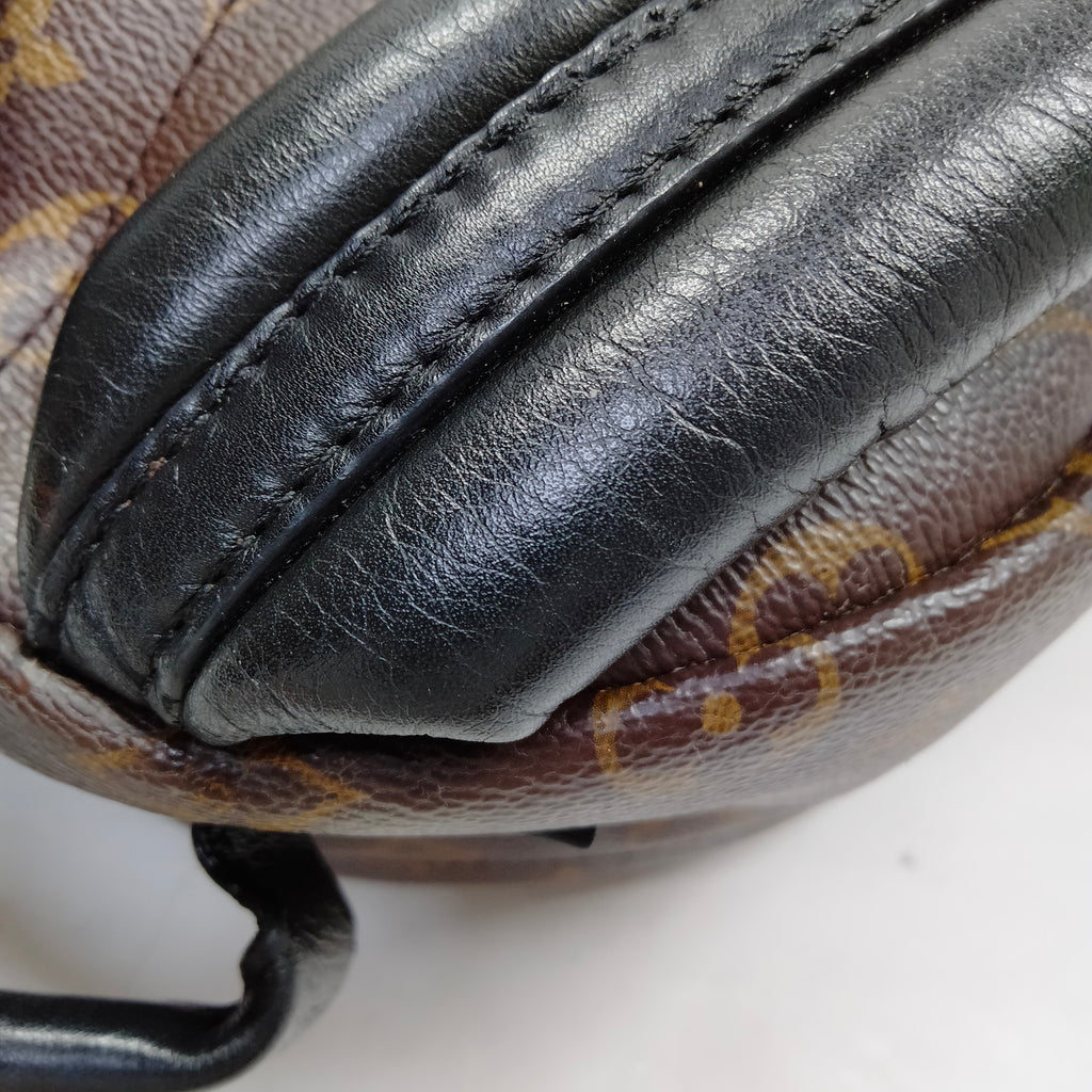 Louis Vuitton Palm Springs PM Back Pack
