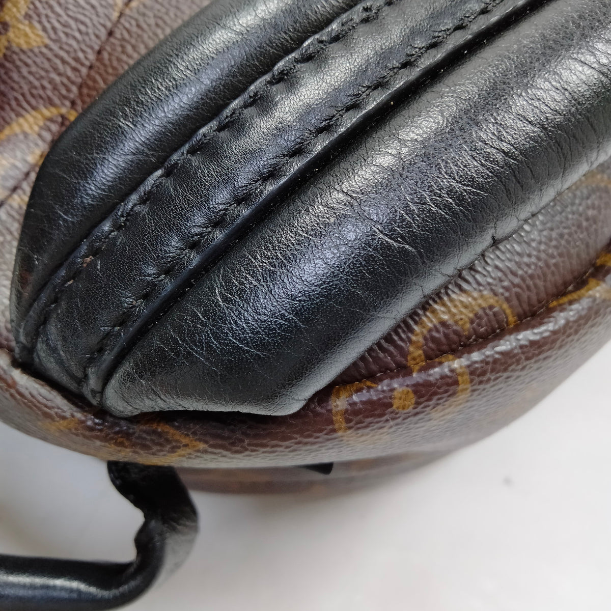 Louis Vuitton Palm Springs PM Back Pack
