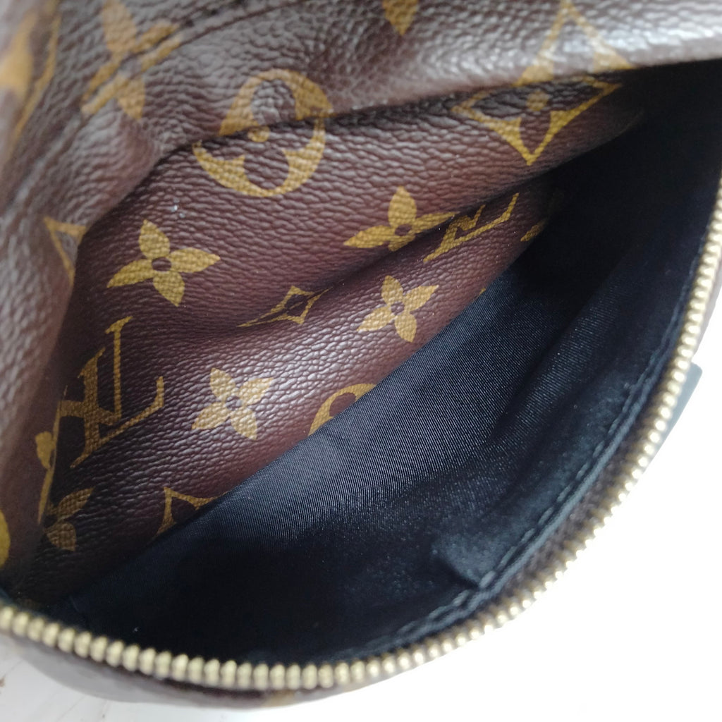 Louis Vuitton Palm Springs PM Back Pack