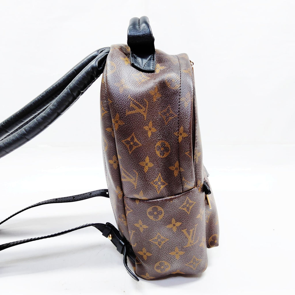 Louis Vuitton Palm Springs PM Back Pack
