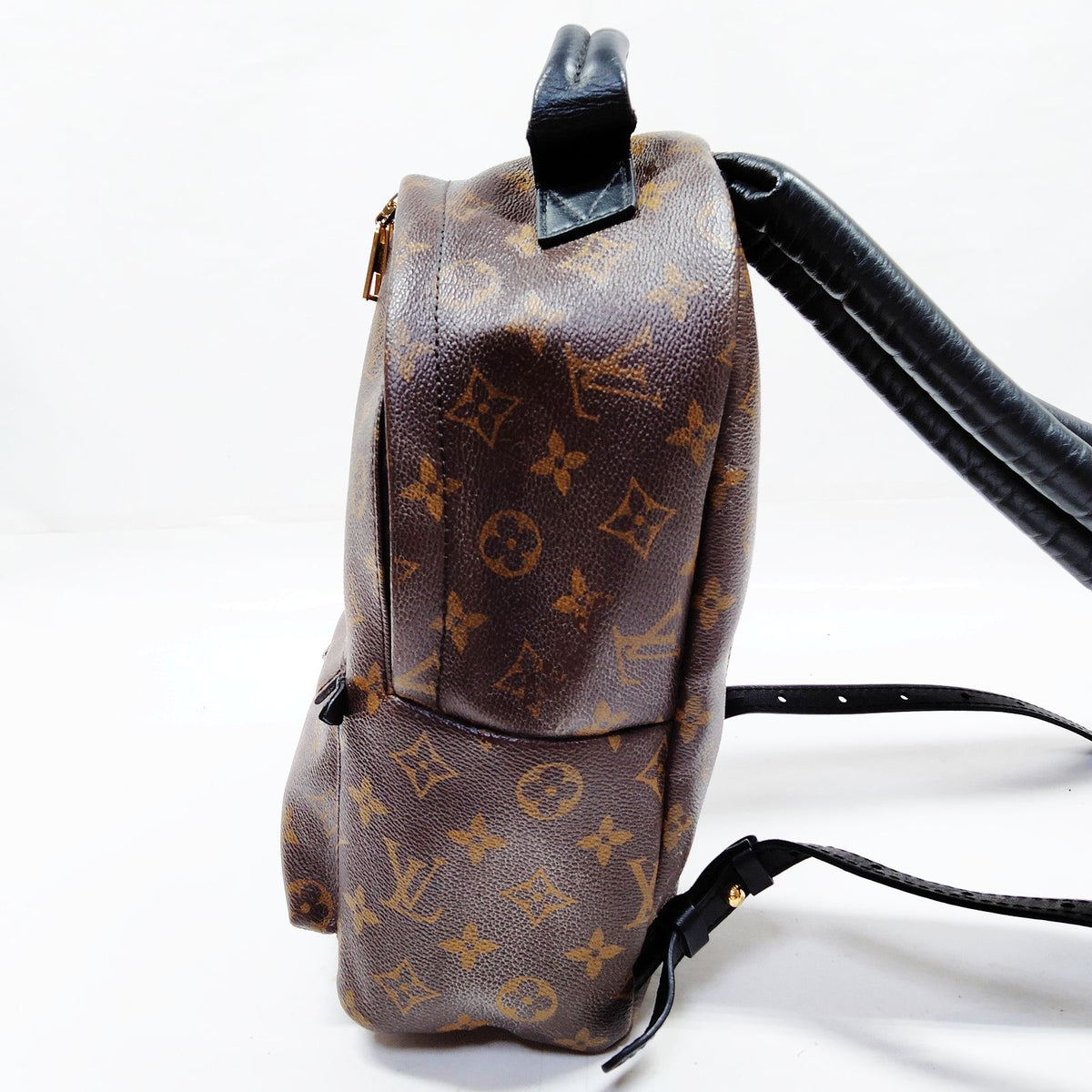Louis Vuitton Palm Springs PM Back Pack
