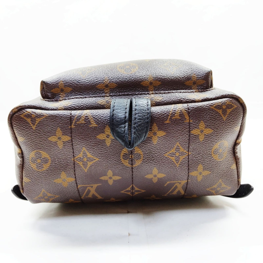 Louis Vuitton Palm Springs PM Back Pack