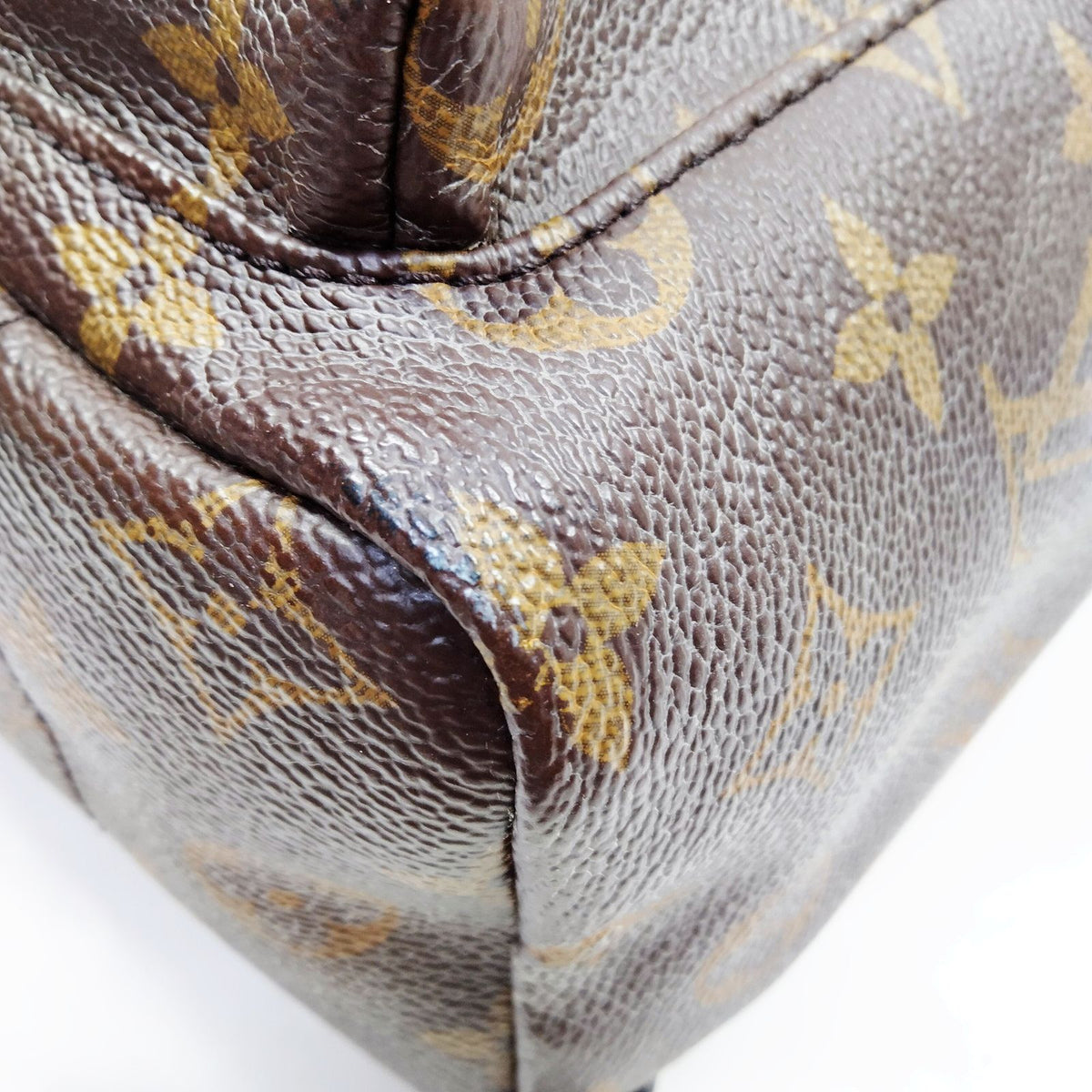 Louis Vuitton Palm Springs PM Back Pack