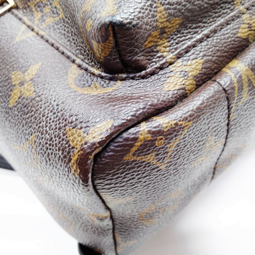 Louis Vuitton Palm Springs PM Back Pack