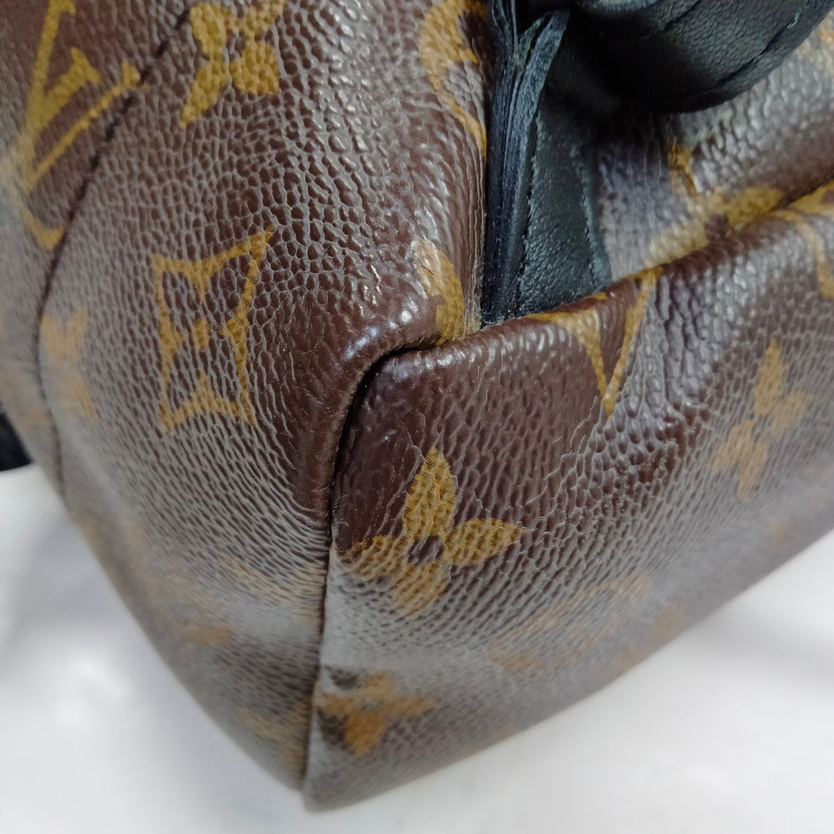 Louis Vuitton Palm Springs PM Back Pack