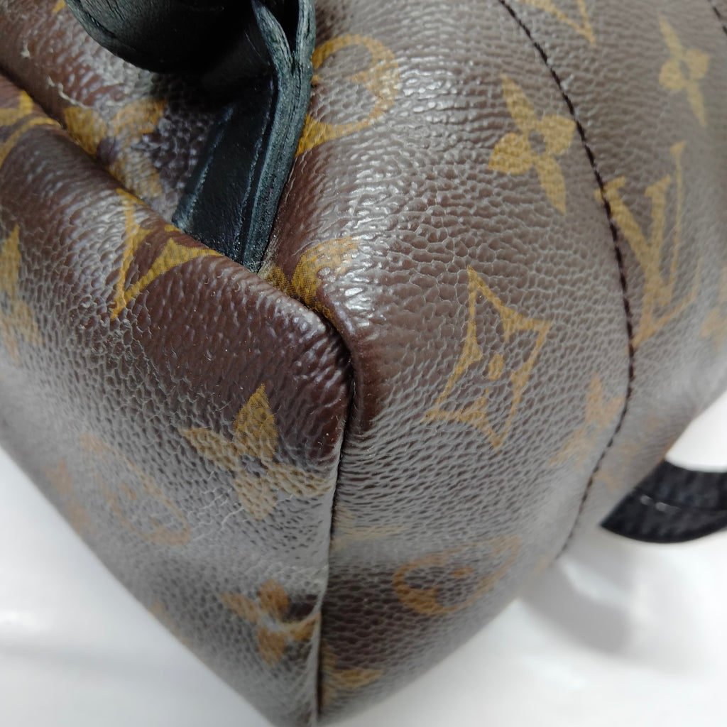 Louis Vuitton Palm Springs PM Back Pack