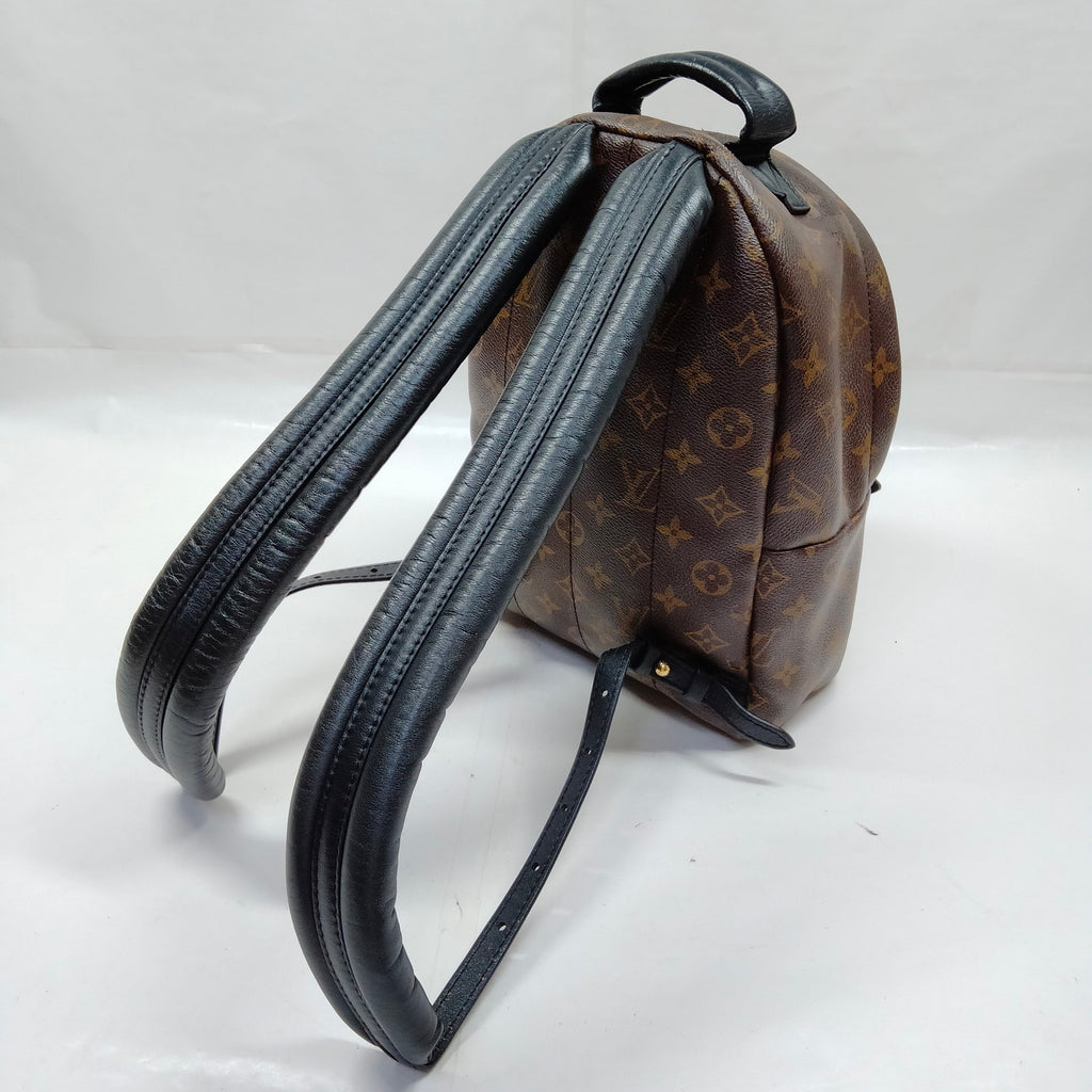 Louis Vuitton Palm Springs PM Back Pack