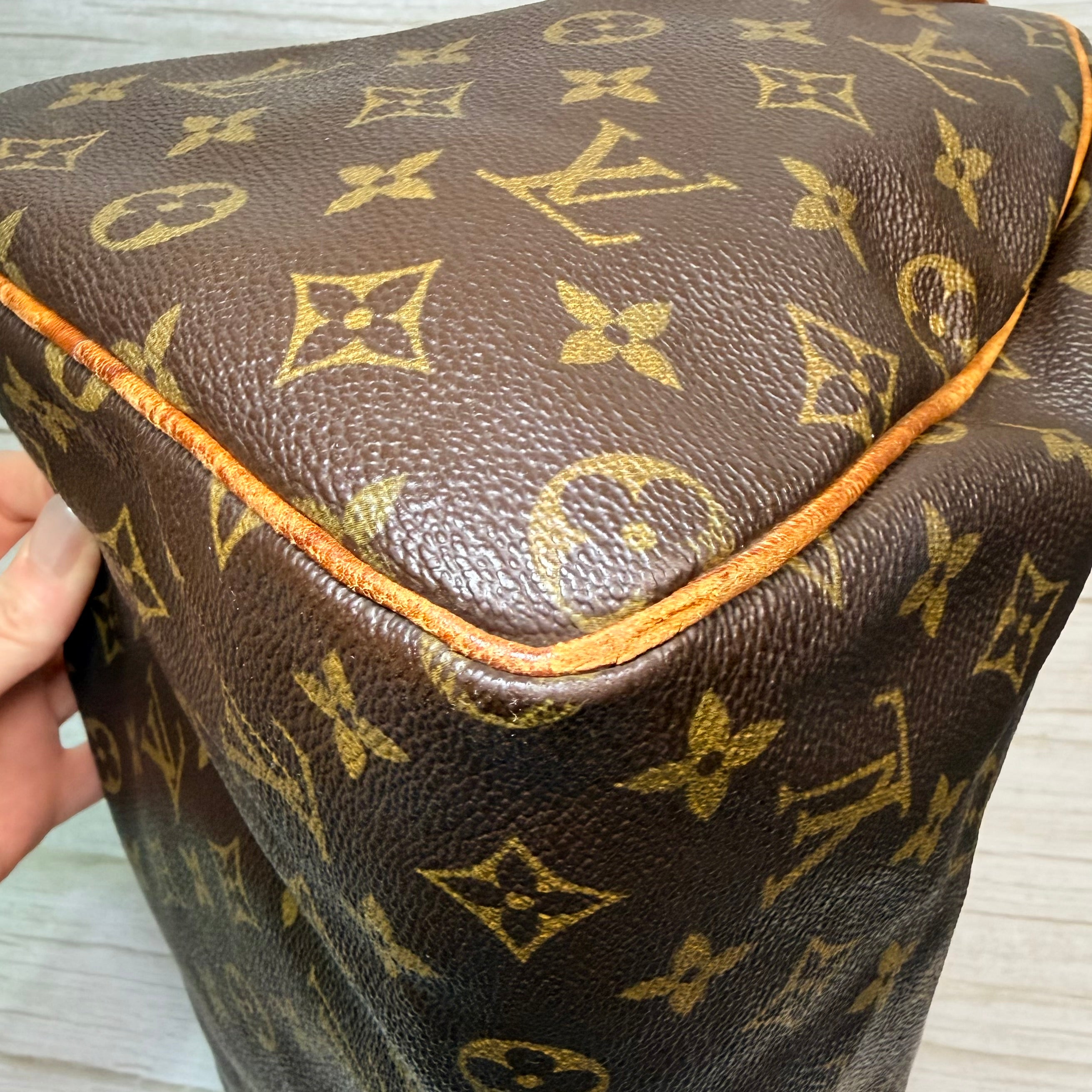 Louis Vuitton Speedy 30 - 172