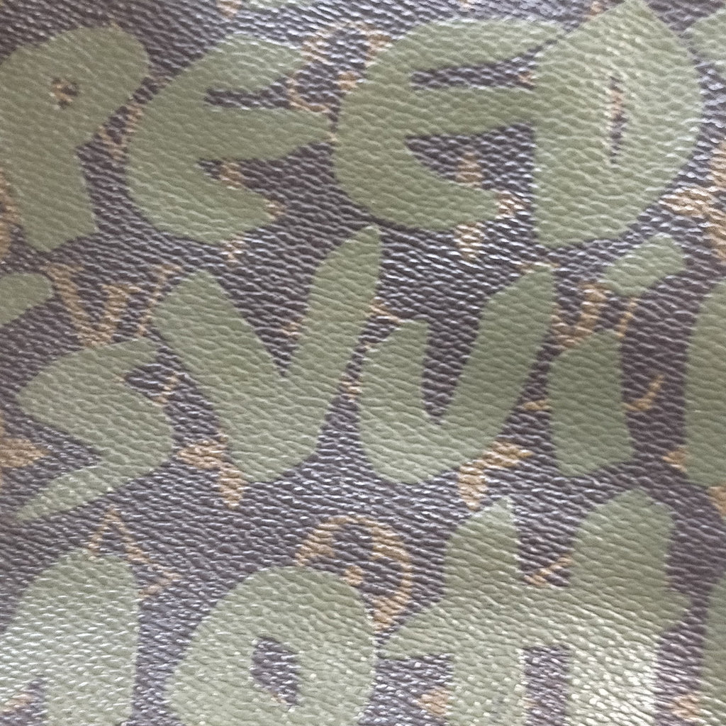 Lv Speedy 30 Monogram Graffiti