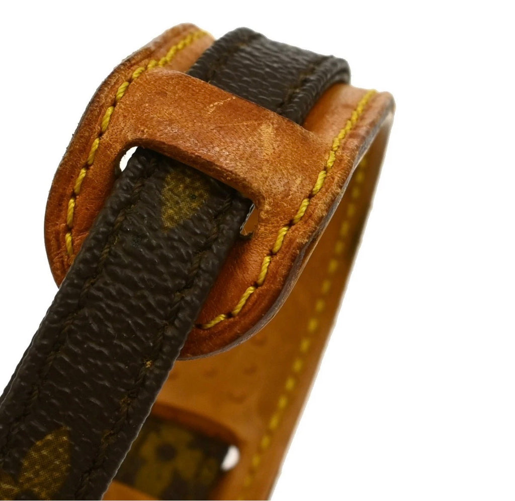 Louis Vuitton Mini Danube Crossbody