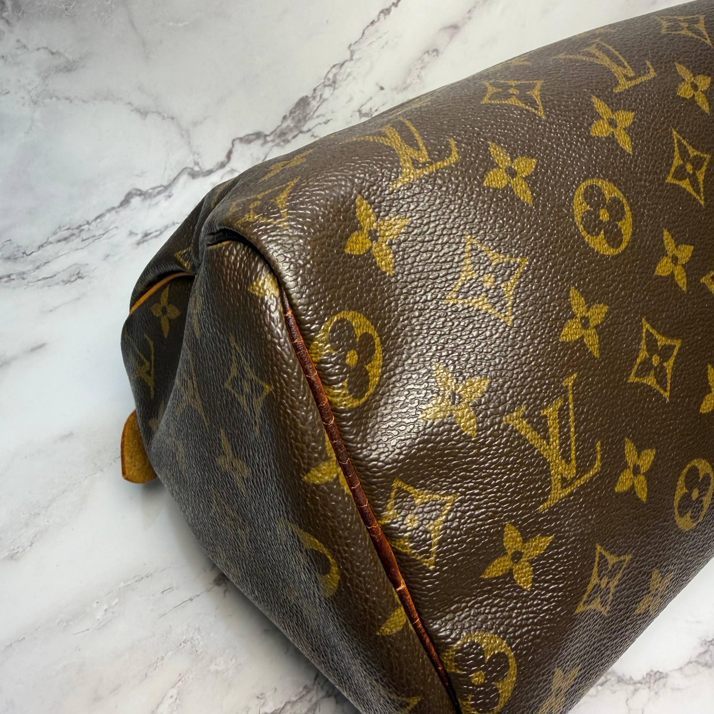 Louis Vuitton Speedy 25