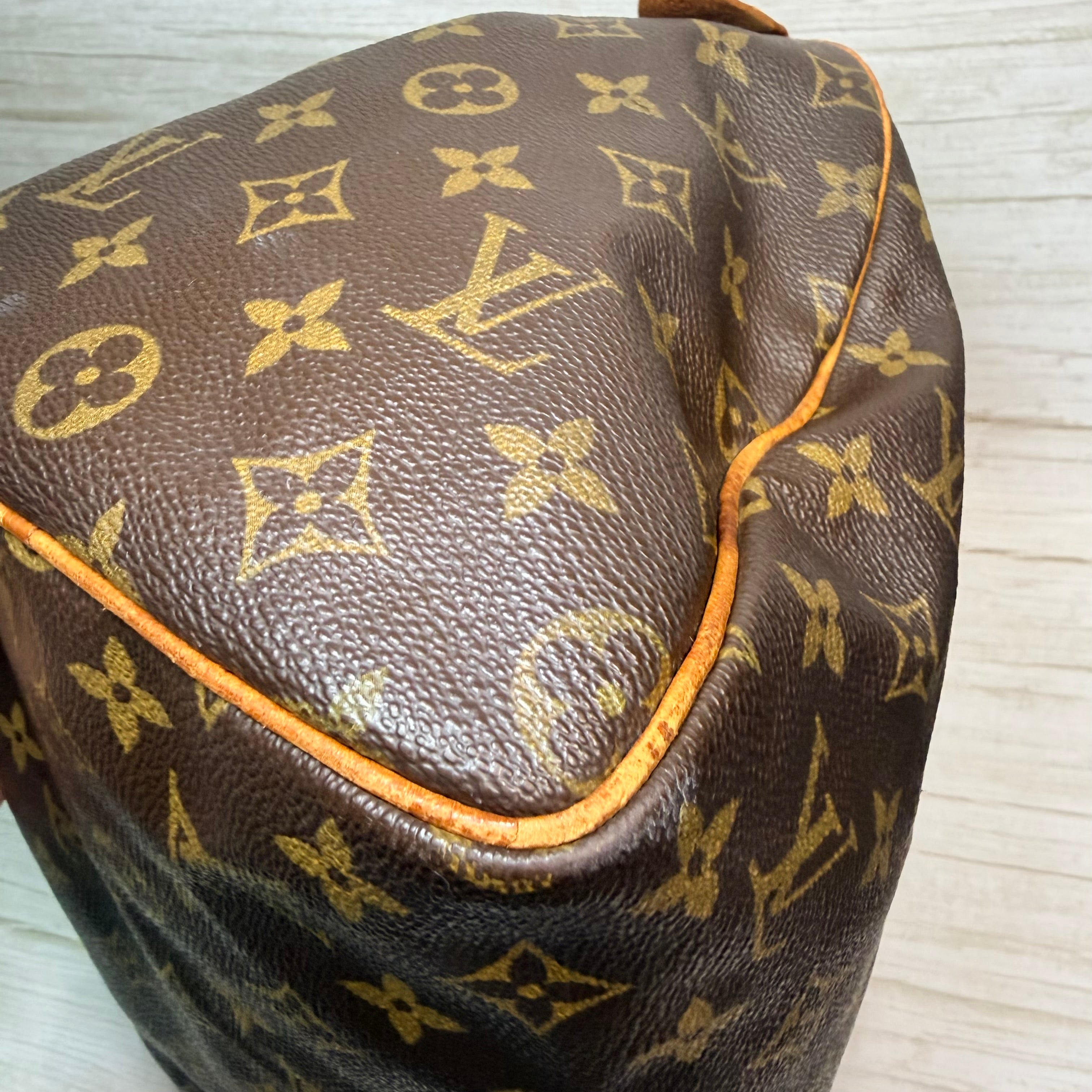 Louis Vuitton Speedy 30 - 172