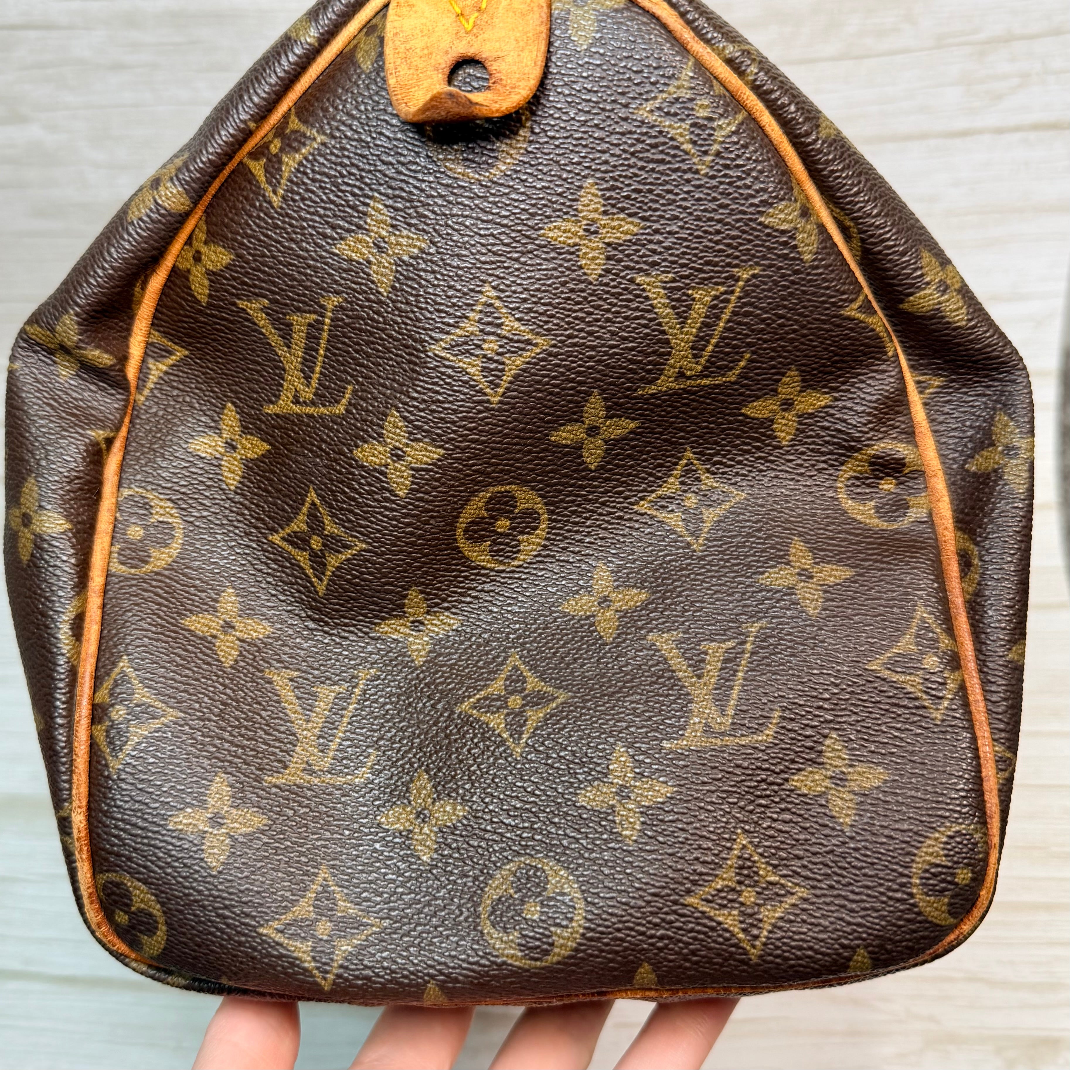 Louis Vuitton Speedy 30 - 172