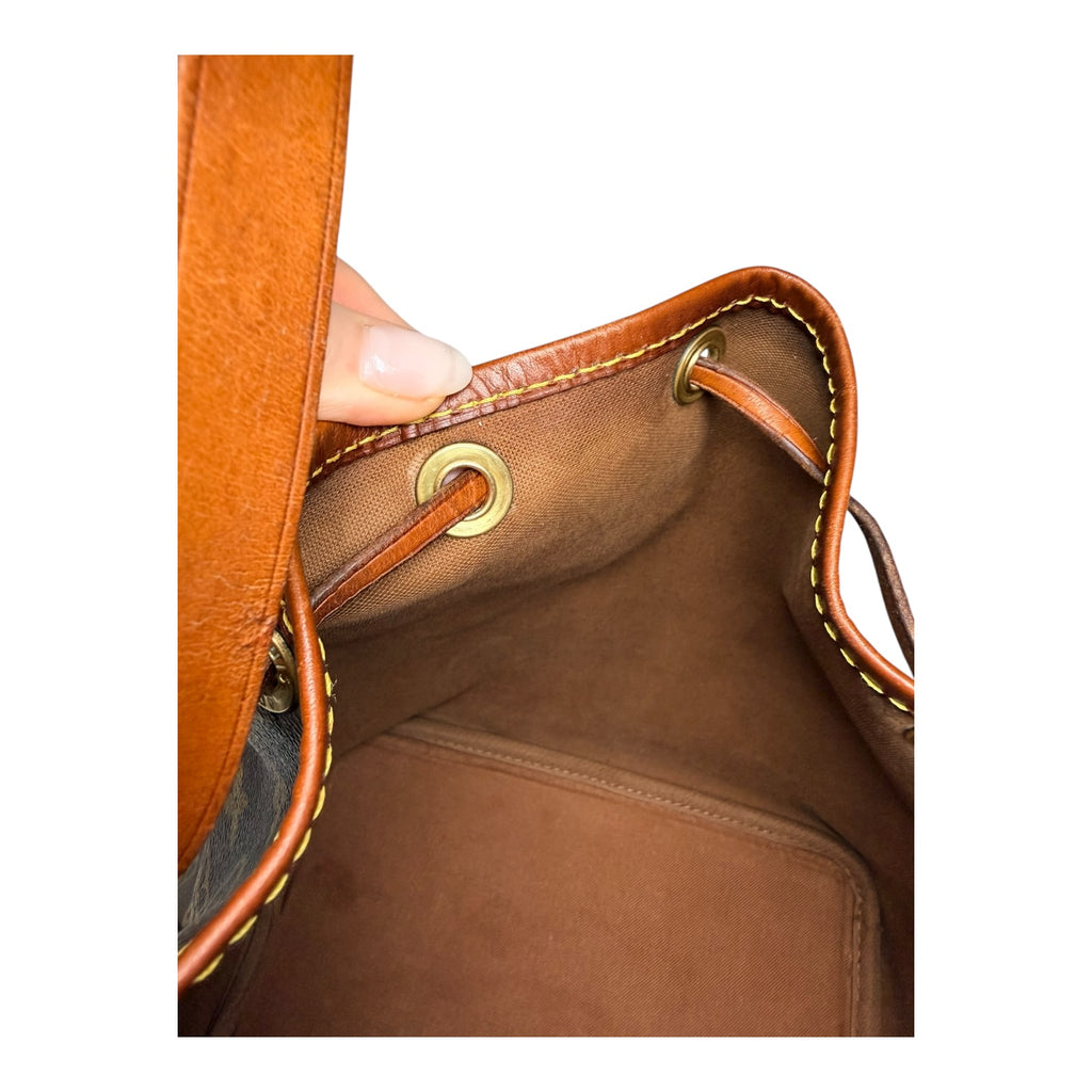 Louis Vuitton Monogram Petit Noé Bucket Bag