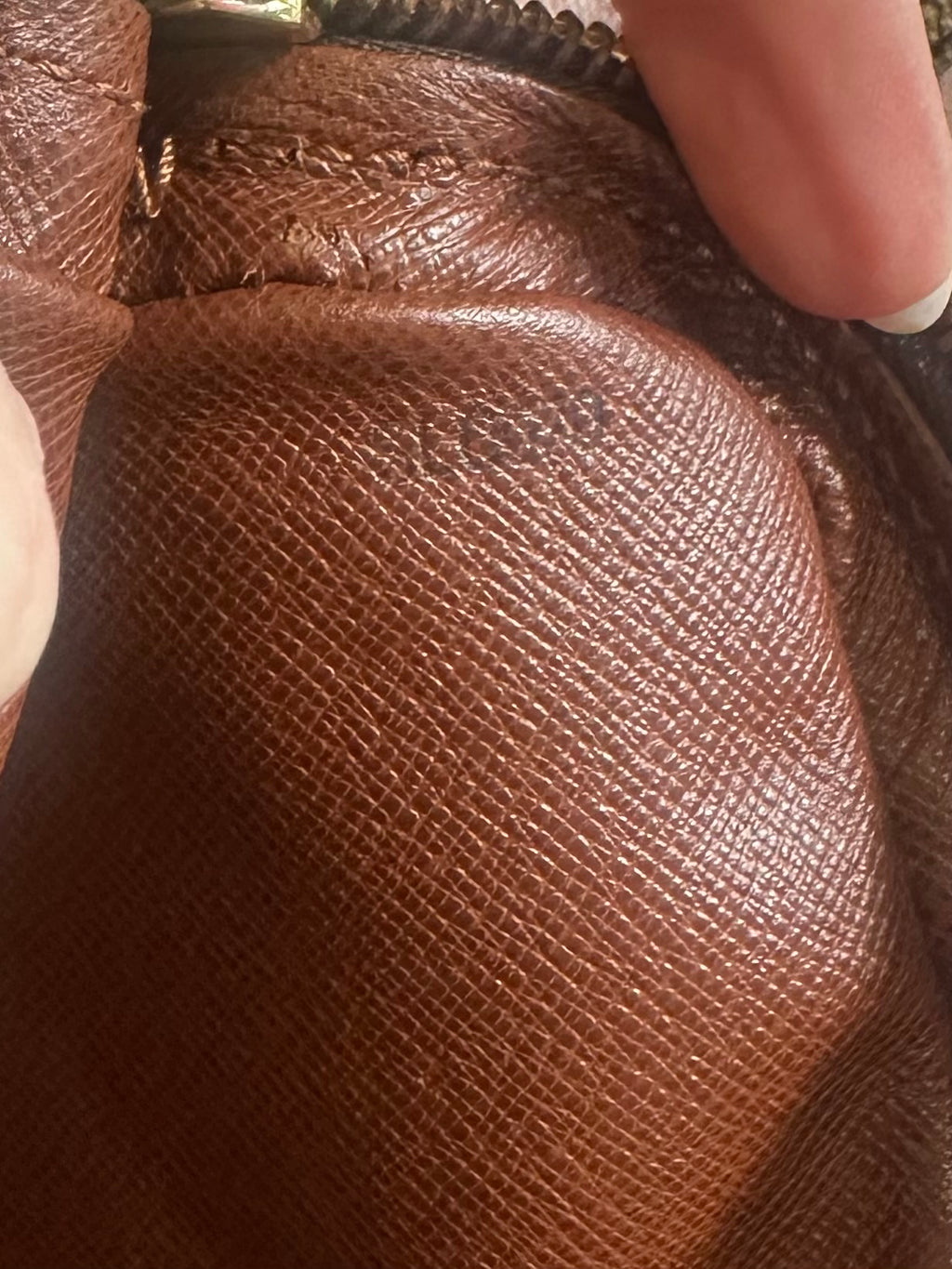Louis Vuitton Monogram Danube Crossbody