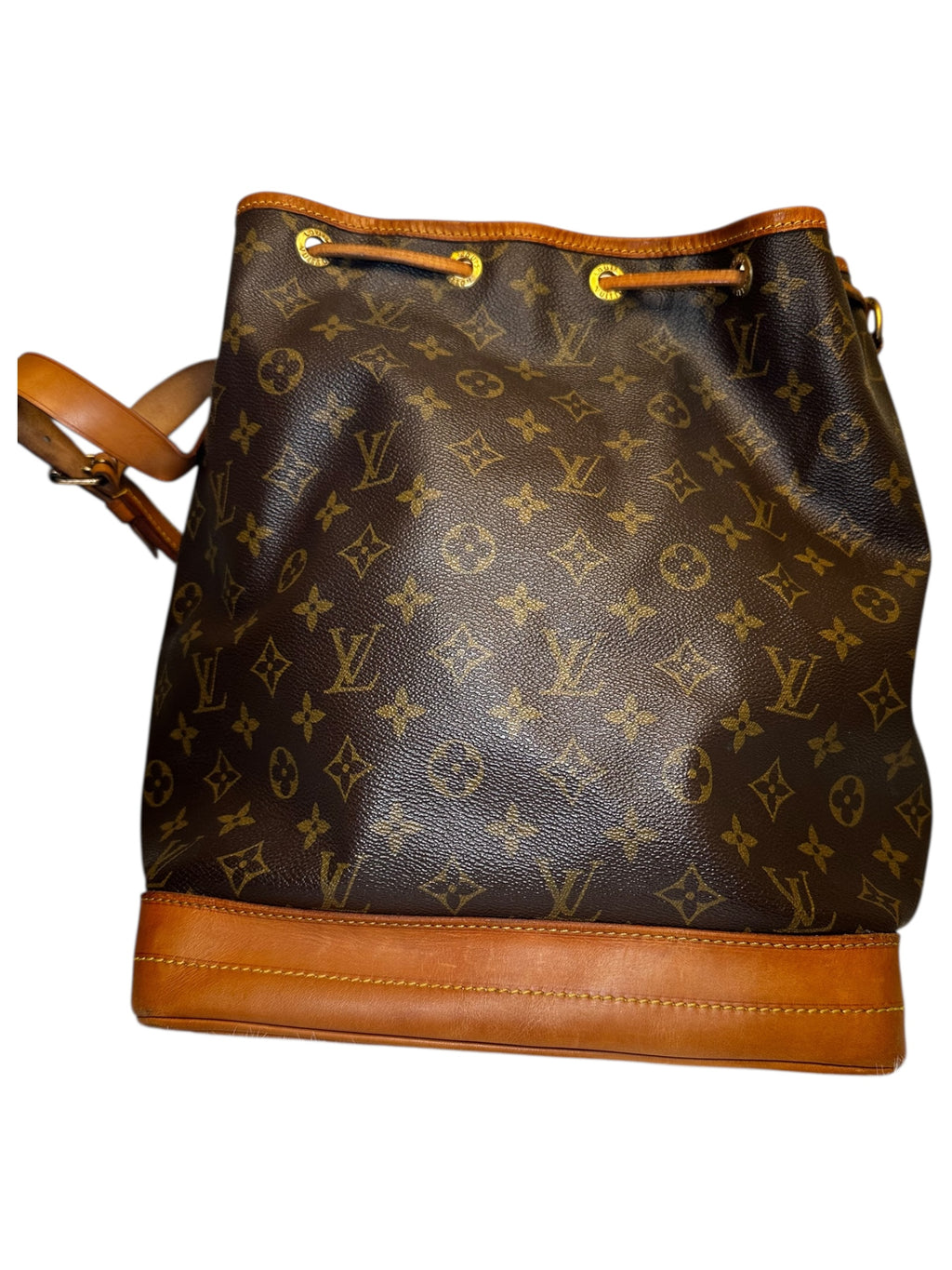 Louis Vuitton Monogram Noé Bucket Bag