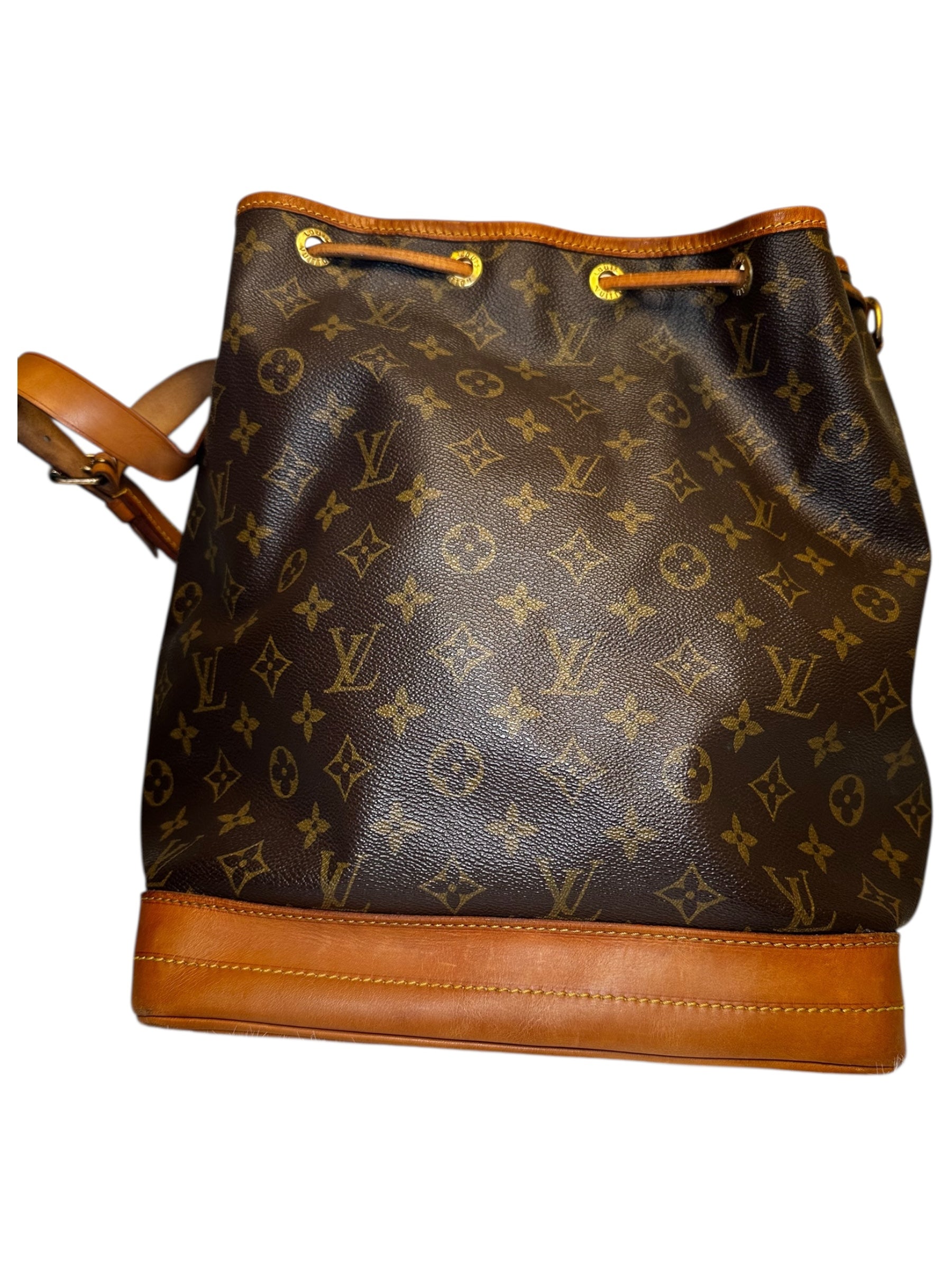 Louis Vuitton Monogram Noé Bucket Bag