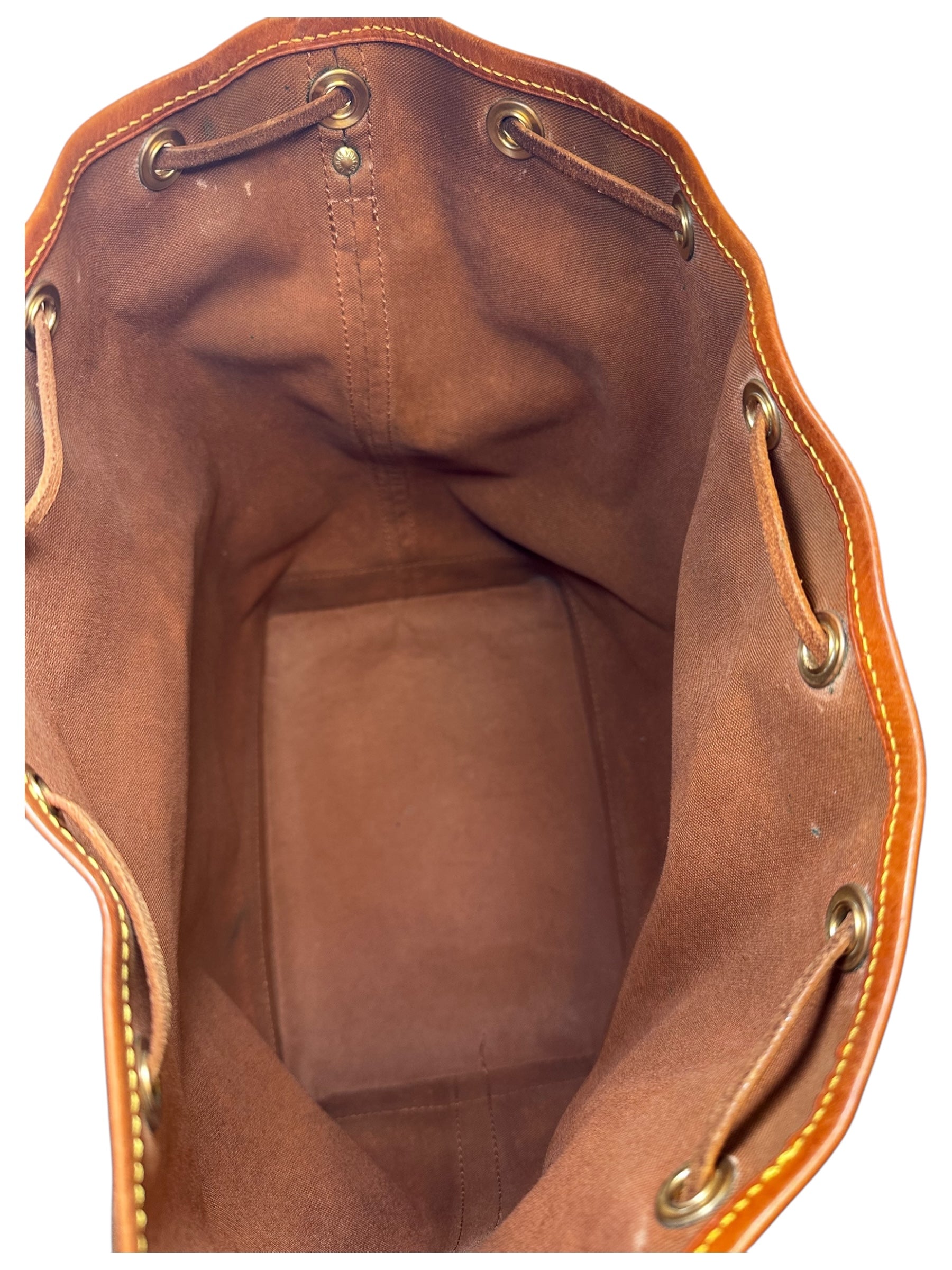 Louis Vuitton Monogram Noé Bucket Bag