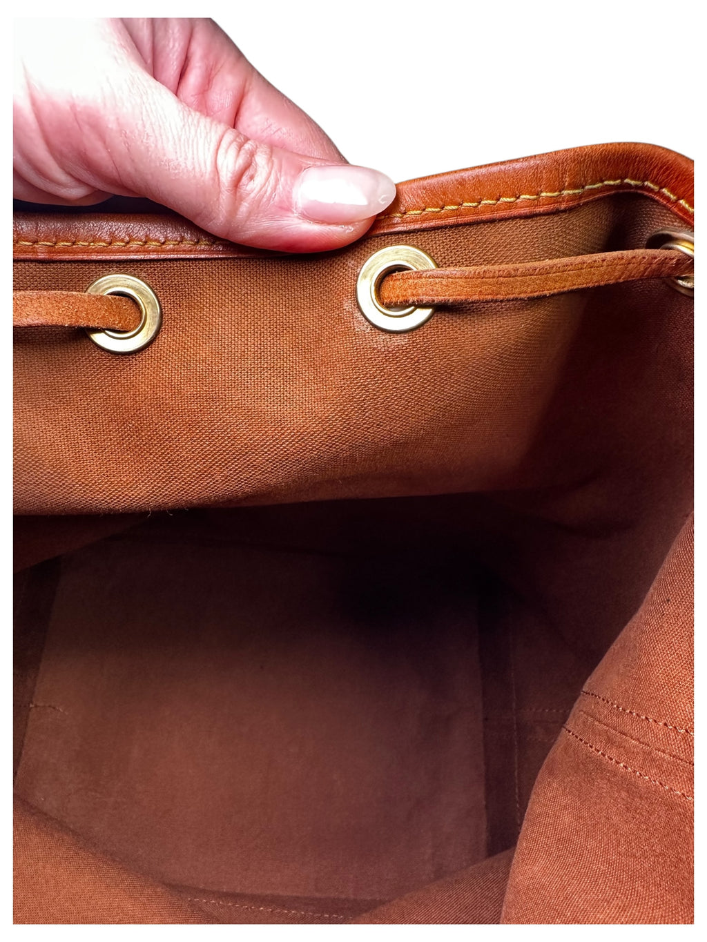 Louis Vuitton Monogram Noé Bucket Bag